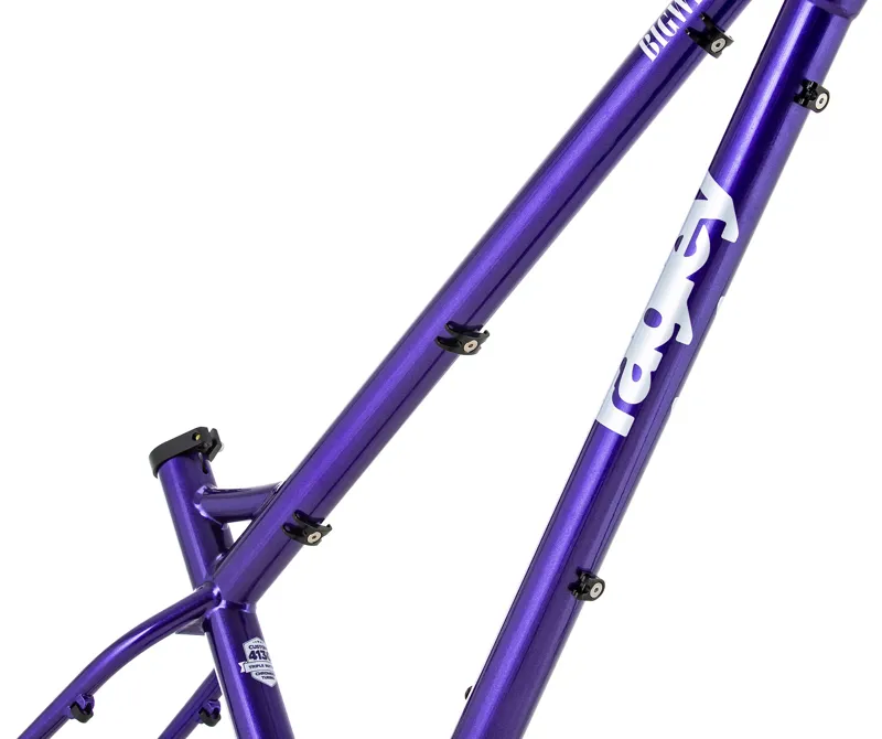 Ragley Big Wig Frame - Purple/ Silver-5